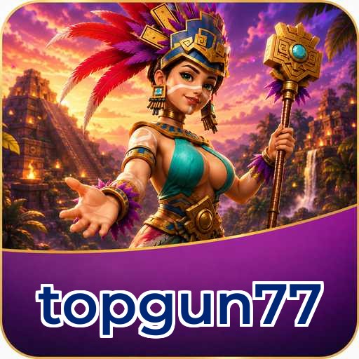 topgun77 Features